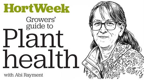 Growers’ Guide to Plant Health: Damping-off
